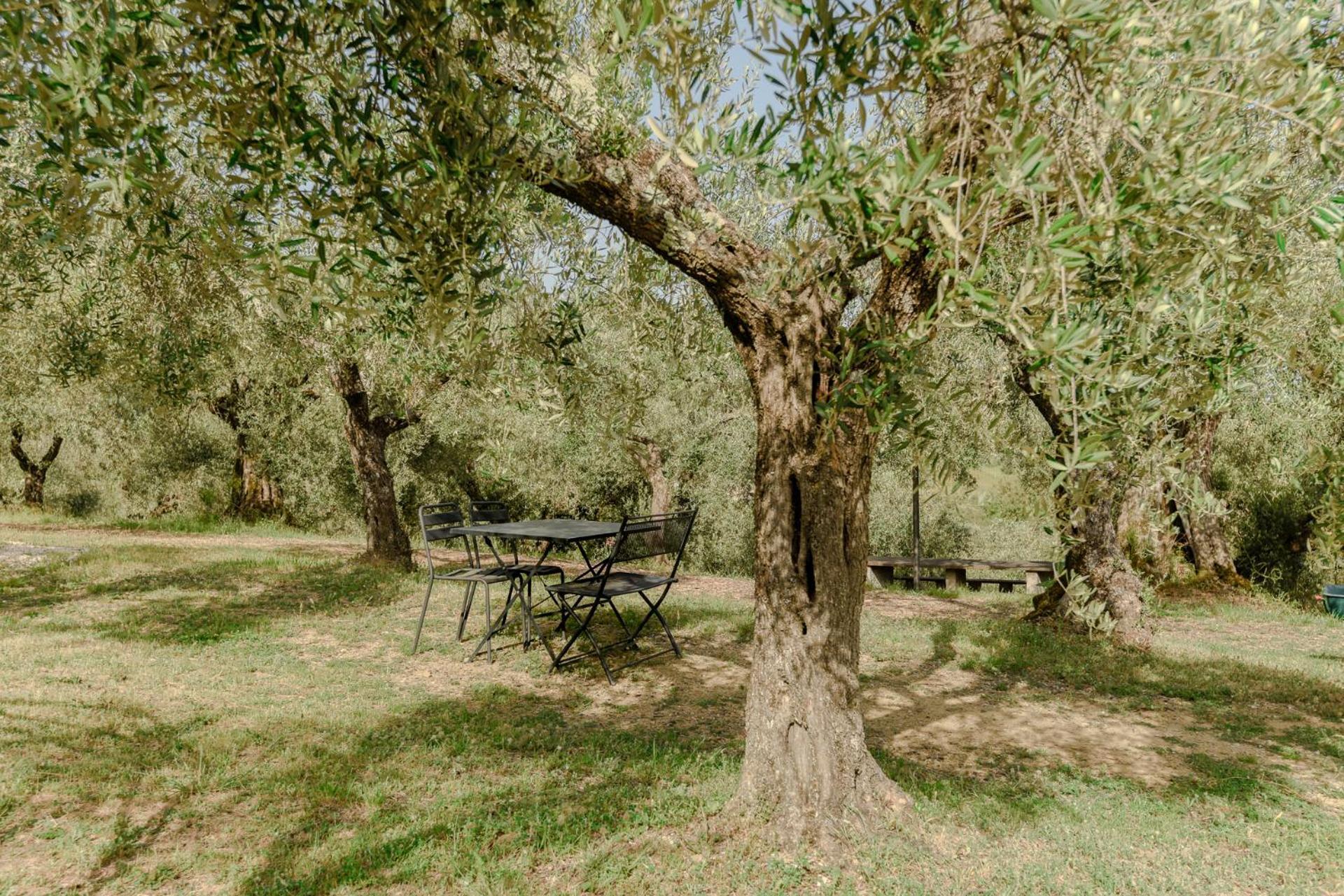 Agriturismo Il Mulino Delle Canutole Magione Exteriör bild